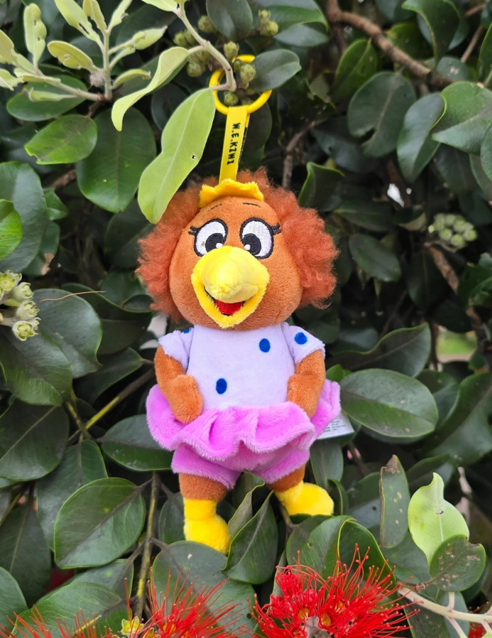 新西兰超可爱的KIWI几维鸟毛绒玩具挂饰（15厘米）