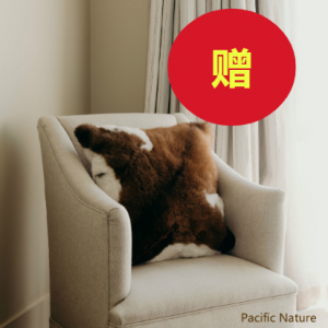 【买大号羊驼毯赠2个】羊驼毛靠枕坐垫（赠品）