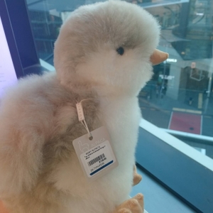 【20厘米/30厘米】羊驼毛玩偶 企鹅 多颜色可选